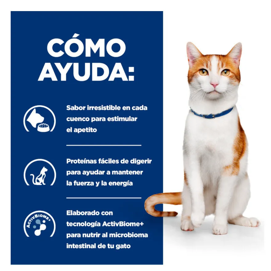 Hill's Prescription Diet Feline Estofado con Pollo y Verduras para Gatos Adultos