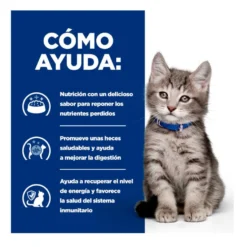 Hill's Prescription Diet i/d Kitten Digestivo Pienso Pollo para gatos