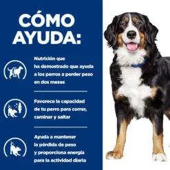 Hill's Prescription Diet j/d Metabolic + Mobility pienso para perros