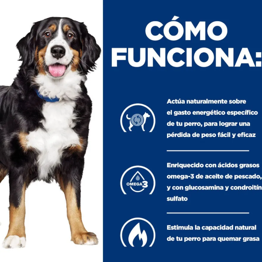 Hill's Prescription Diet j/d Metabolic + Mobility pienso para perros