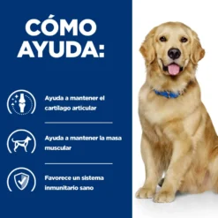 Hill's Prescription Diet Joint Care j/d Reduced Calorie Pollo pienso para perros