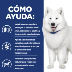 Hill's Prescription Diet kidney + Mobility pienso para perros