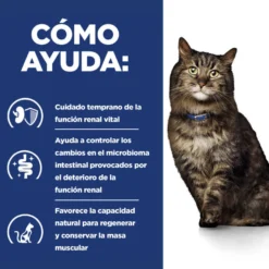 Hill's Prescription Diet Kidney Care k/d Pienso para gatos