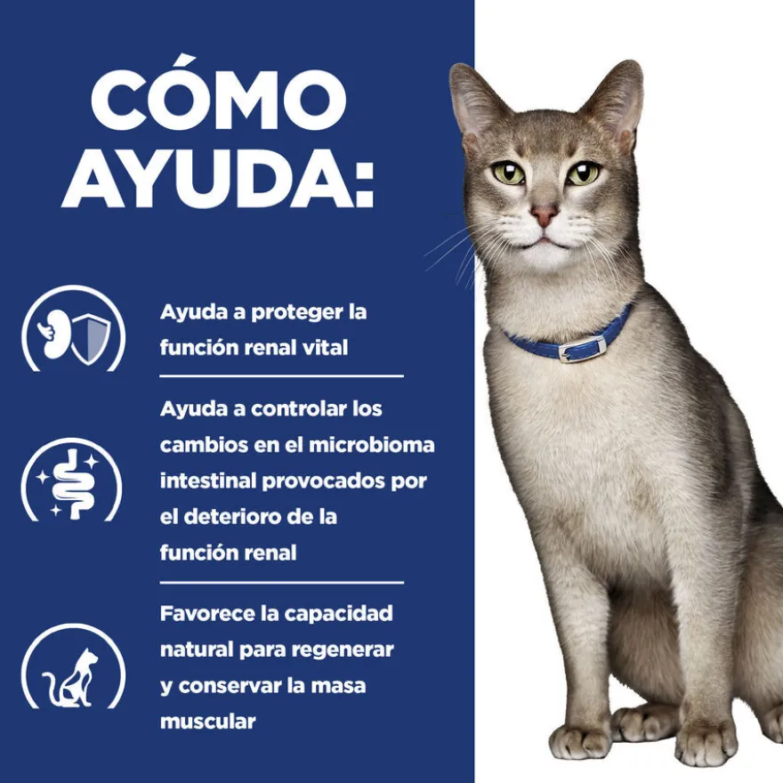 Hill's Prescription Diet Kidney Care k/d Pollo pienso para gatos