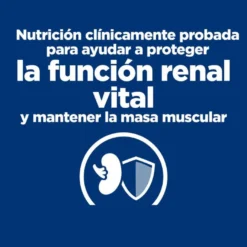 Hill's Prescription Diet kidney Care k/d Salmón pienso para gatos
