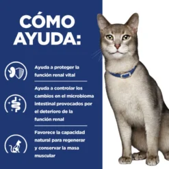 Hill's Prescription Diet kidney Care k/d Salmón pienso para gatos