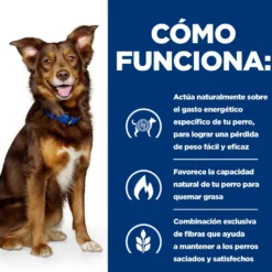 Hill's Prescription Diet Metabolic Pollo lata para perros