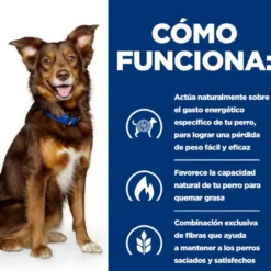 Hill's Prescription Diet Metabolic Vacuno y Verduras lata para perros
