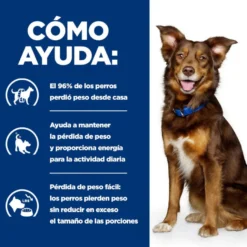 Hill's Prescription Diet Metabolic cordero y arroz pienso para perros