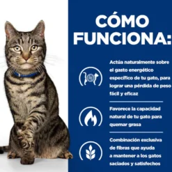 Hill's Prescription Diet Metabólico Control de Peso Pescado Sobre en Salsa para gatos