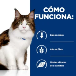 Hill's Prescription Diet Multi-Benefit Pollo pienso para gatos