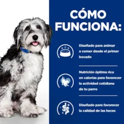 Hill's Prescription Diet ON-Care Estofado de Pollo y Vegetales lata para perros