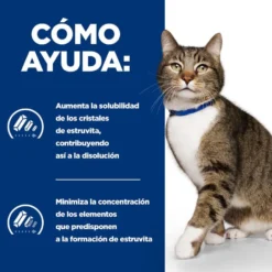 Hill's Prescription Diet Urinary Care s/d Pollo pienso para gatos