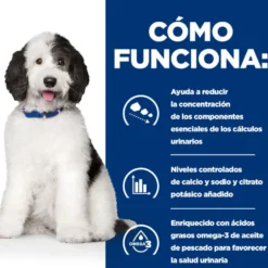 Hill's Prescription Diet Urinary Care c/d Pollo pienso para perros
