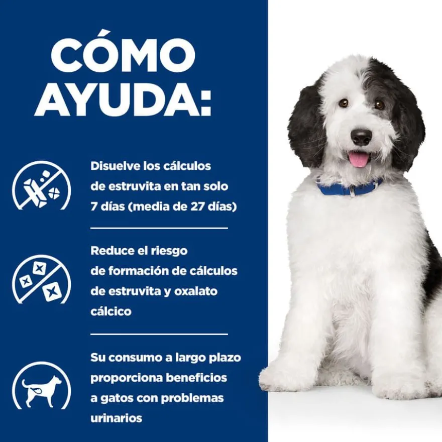 Hill's Prescription Diet Urinary Care c/d Estofado de Pollo y Verduras lata para perros