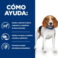 Hill's Prescription Diet Weight Loss r/d Pollo pienso para perros