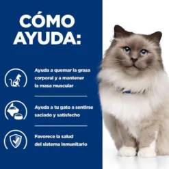 Hill's Prescription Diet Weight Loss Pollo pienso r/d para gatos