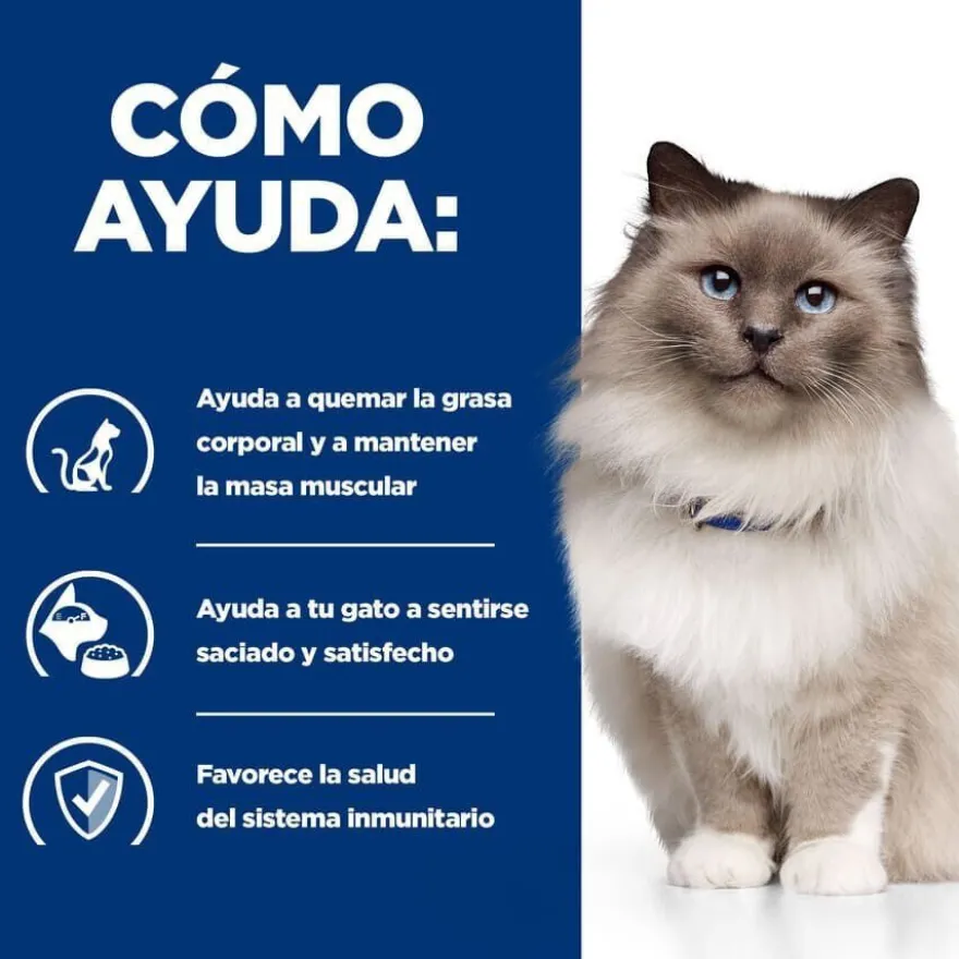 Hill's Prescription Diet Weight Loss Pollo pienso r/d para gatos