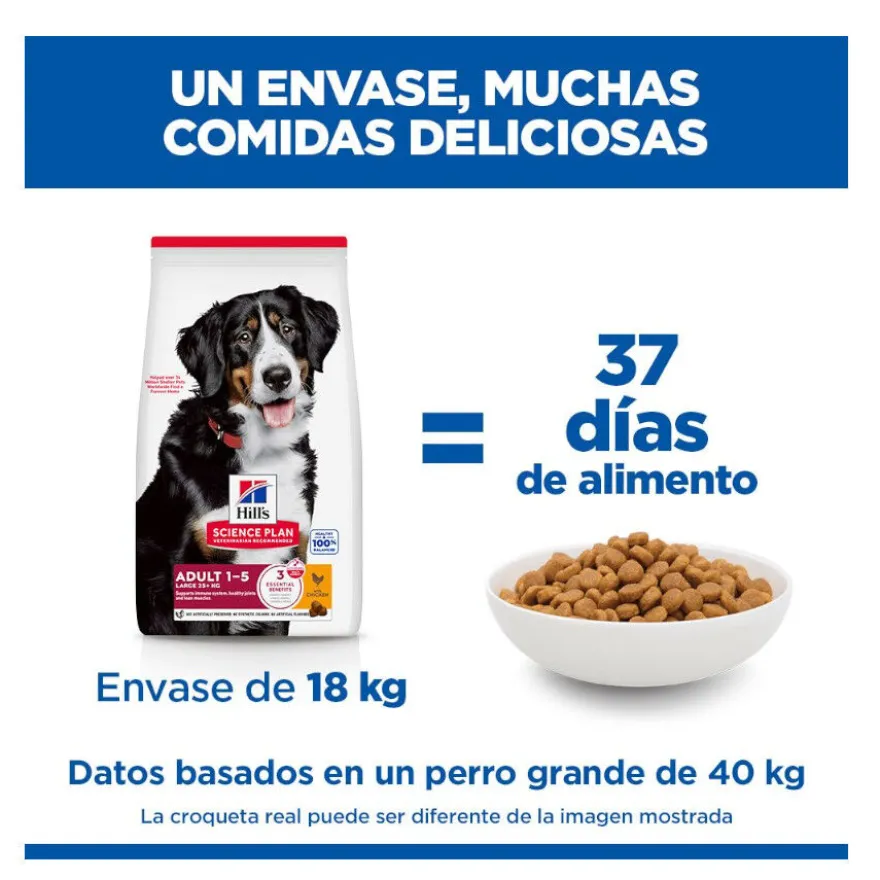 Hill's Science Plan Adult Large Breed pienso pollo para perros de razas grandes