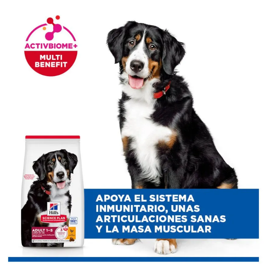 Hill's Science Plan Adult Large Breed pienso pollo para perros de razas grandes