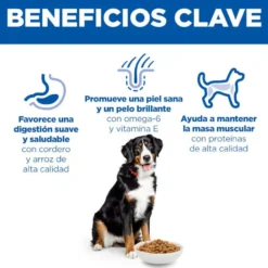Hill's Science Plan Adult Large Breed pienso cordero y arroz para perros de razas grandes