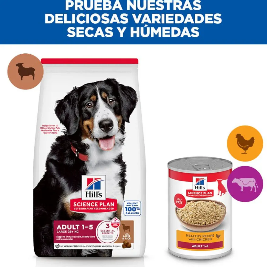 Hill's Science Plan Adult Large Breed pienso cordero y arroz para perros de razas grandes