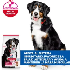 Hill's Science Plan Adult Large Breed pienso cordero y arroz para perros de razas grandes