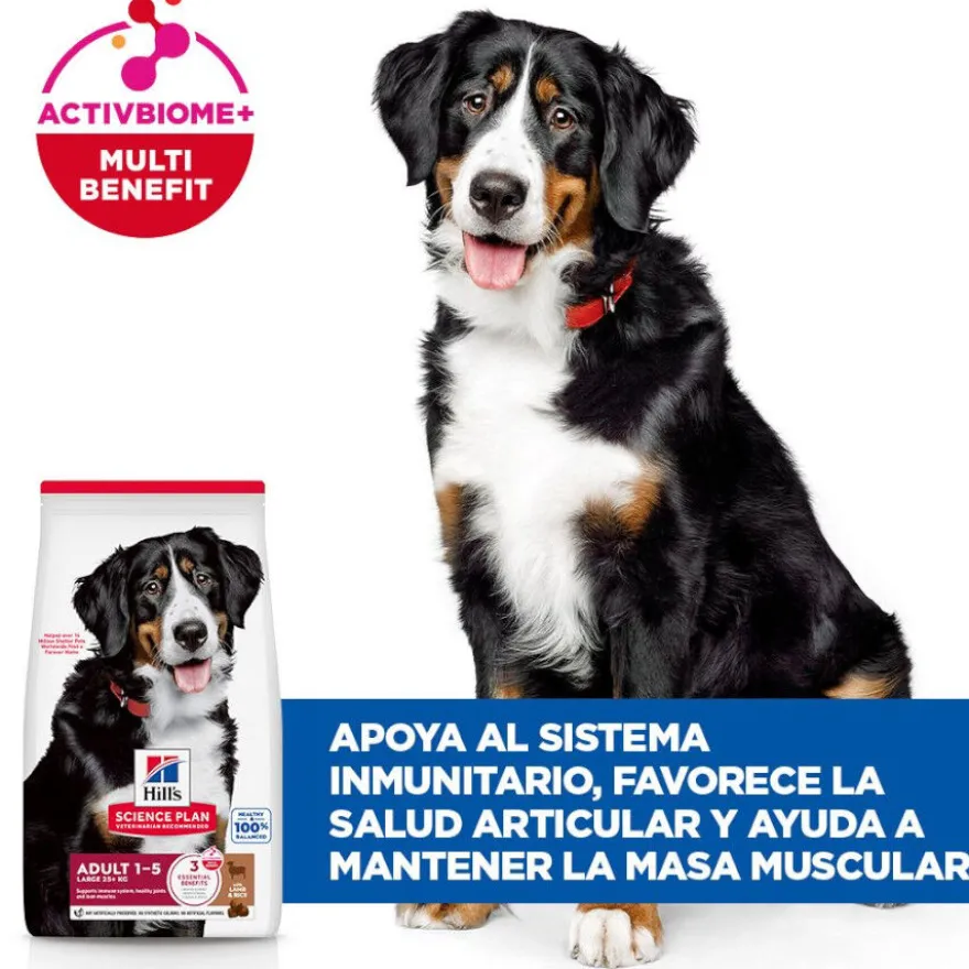 Hill's Science Plan Adult Large Breed pienso cordero y arroz para perros de razas grandes