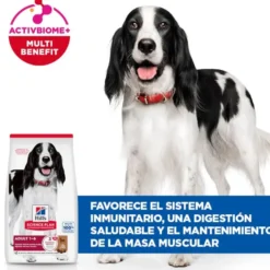 Hill's Science Plan Adult Medium pienso cordero y arroz para perros de razas medianas
