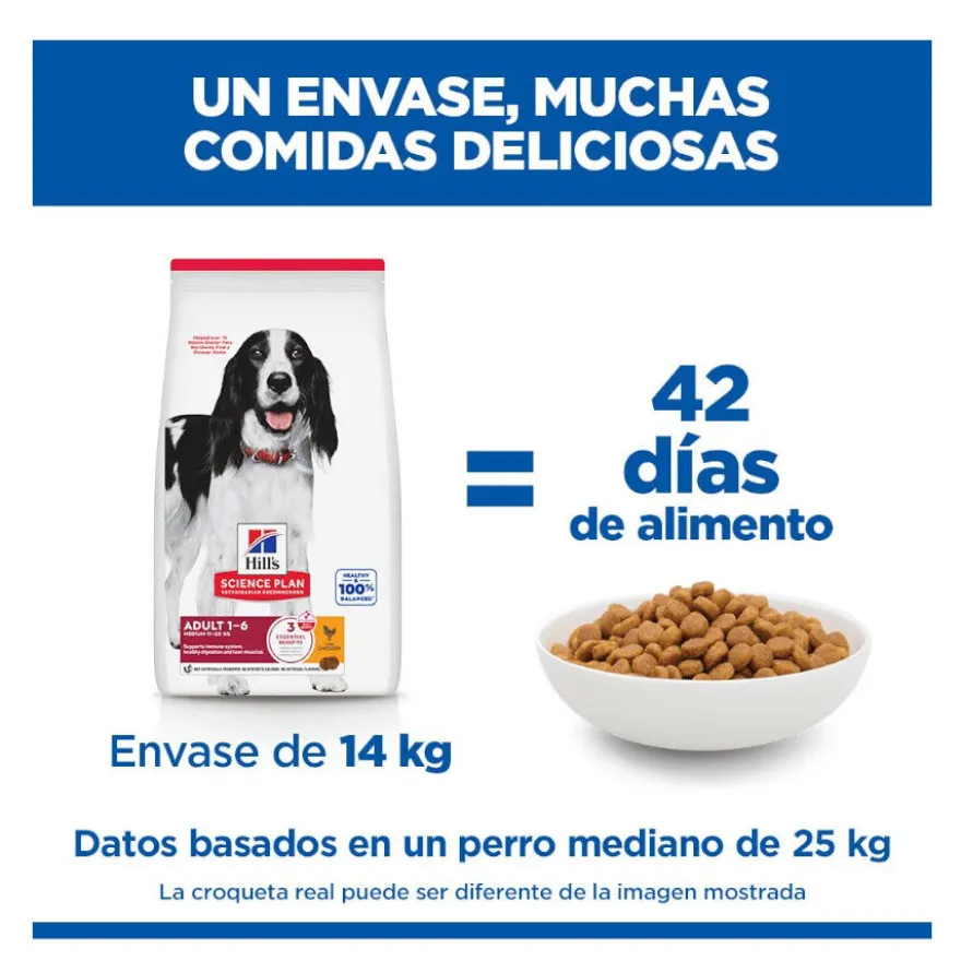 Hill's Science Plan Adult Medium Pienso Pollo para perros de razas medianas