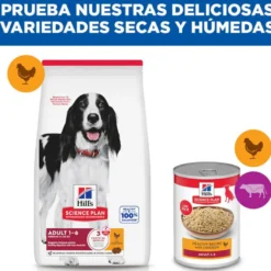 Hill's Science Plan Adult Medium Pienso Pollo para perros de razas medianas