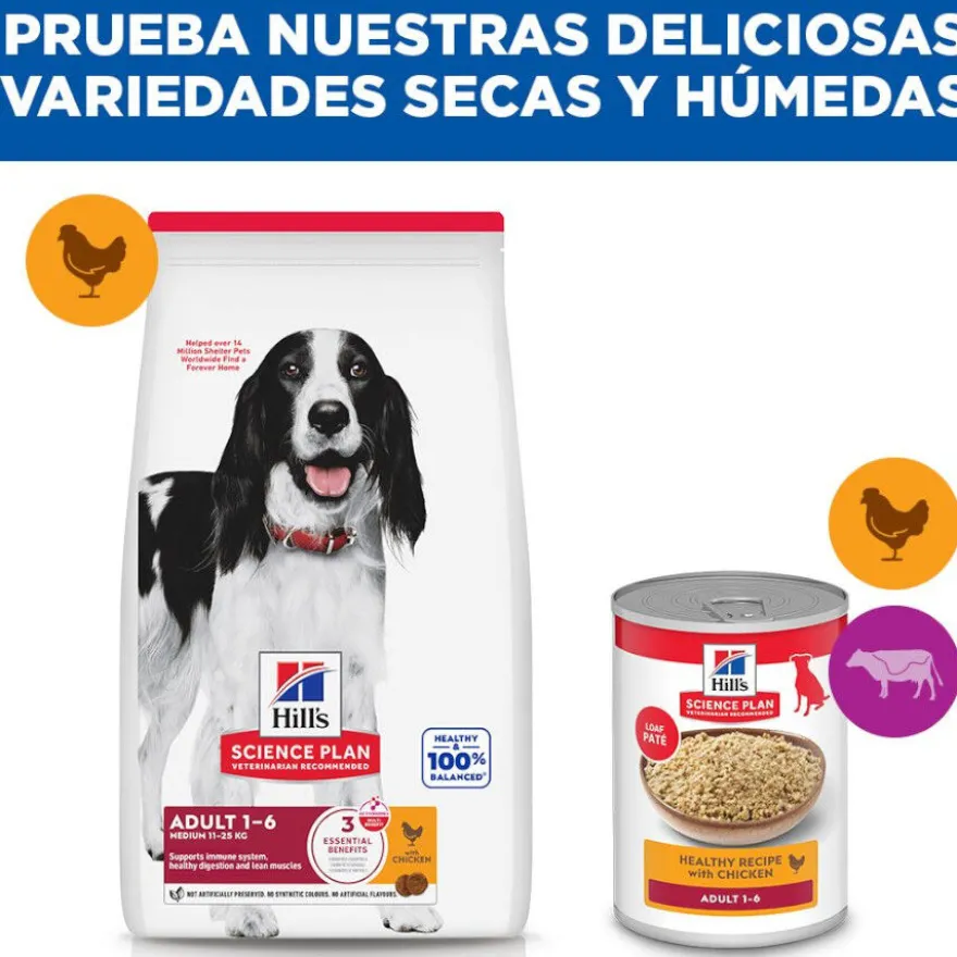 Hill's Science Plan Adult Medium Pienso Pollo para perros de razas medianas