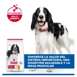 Hill's Science Plan Adult Medium Pienso Pollo para perros de razas medianas