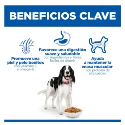 Hill's Science Plan Adult Medium Pienso Pollo para perros de razas medianas