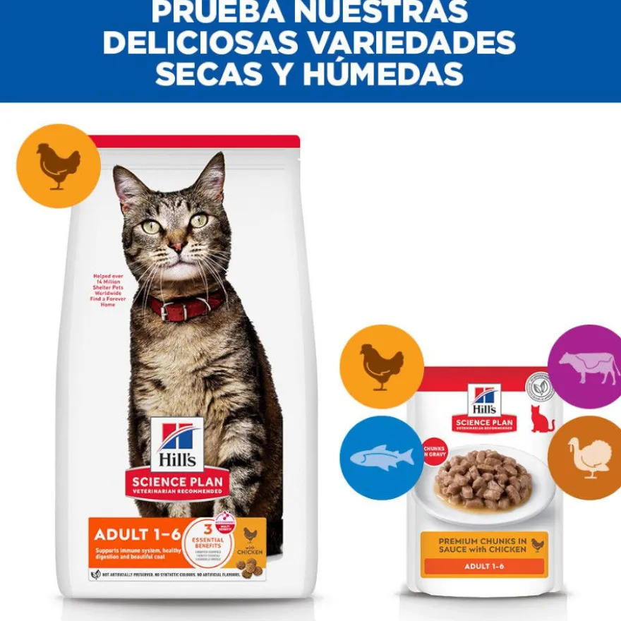 Hill's Science Plan Adult Pienso Pollo para Gatos