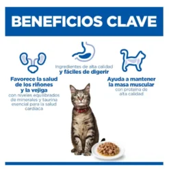 Hill's Science Plan Adult Pollo sobre para gatos