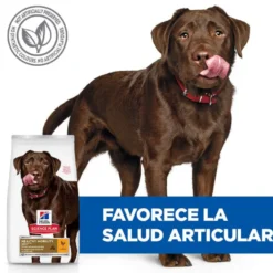 Hill's Science Plan Healthy Mobility Adult Large Pollo pienso para perros