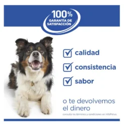 Hill's Science Plan Hipoalergénico Large Salmón pienso para perros