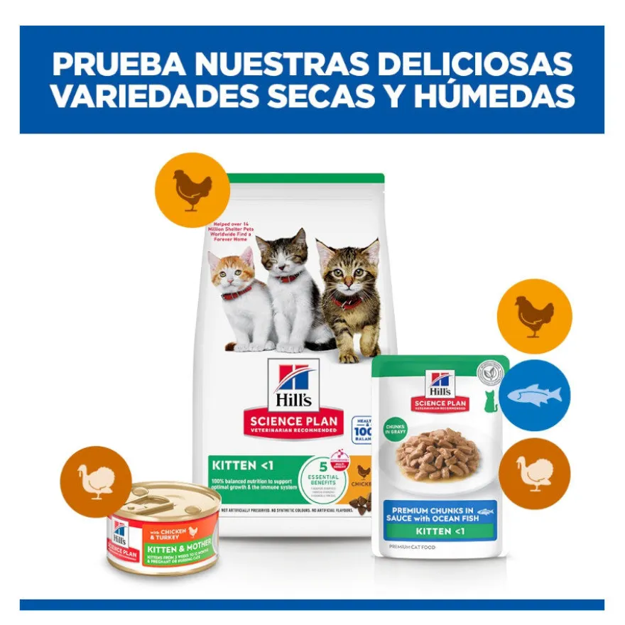 Hill's Science Plan Kitten Pescado Azul sobre para gatos