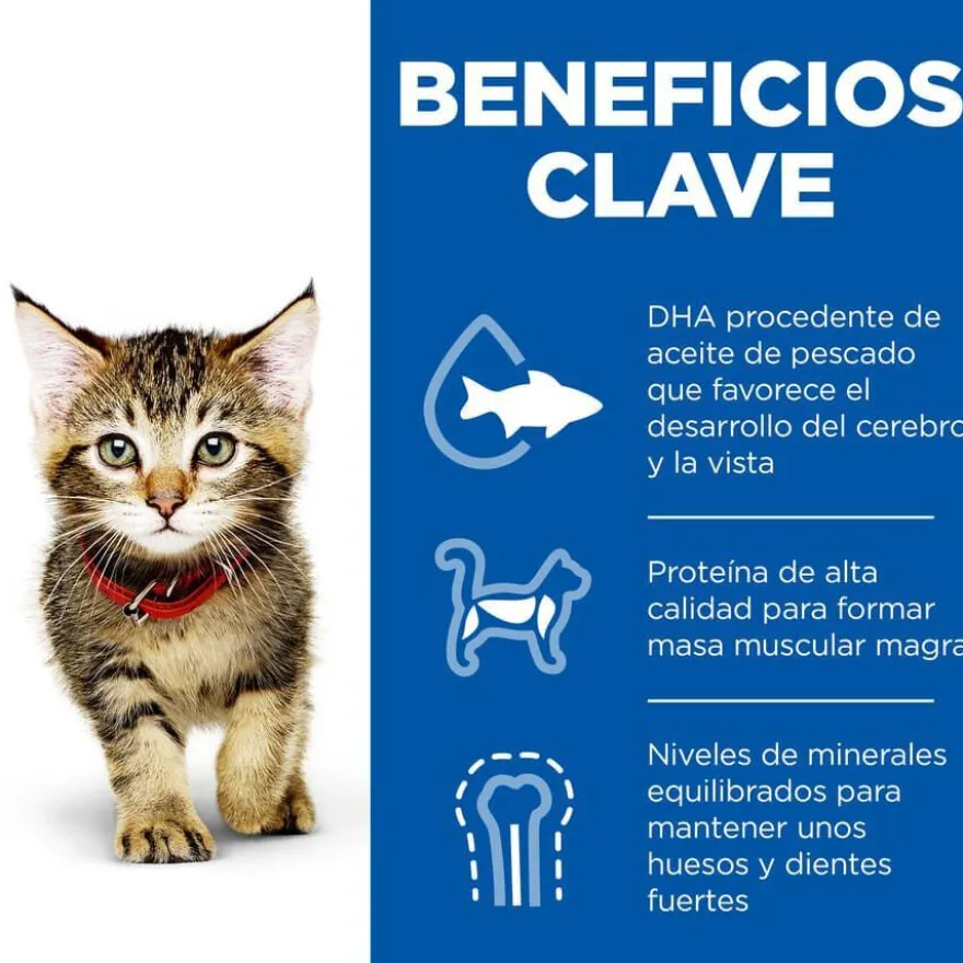 Hill's Science Plan Kitten Pollo y Pescado sobre para gatos Multipack