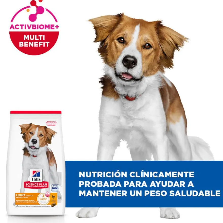Hill's Science Plan Light pienso pollo perros de razas medianas