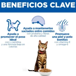 Hill's Science Plan Light pienso pollo para gatos adultos