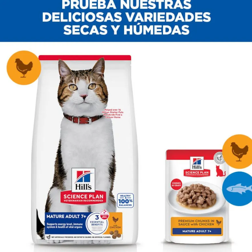 Hill's Science Plan Mature Adult pienso pollo para gatos
