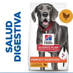 Hill's Science Plan Perfect Digestion Adult large Pollo pienso para perros