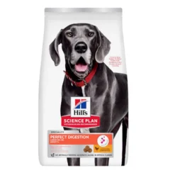 Hill's Science Plan Perfect Digestion Adult large Pollo pienso para perros