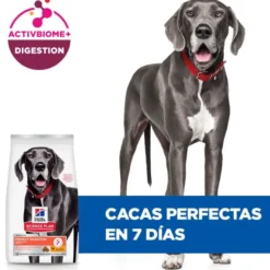 Hill's Science Plan Perfect Digestion Adult large Pollo pienso para perros