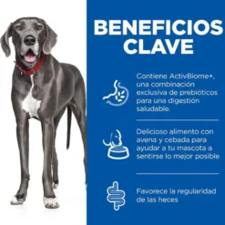 Hill's Science Plan Perfect Digestion Adult large Pollo pienso para perros