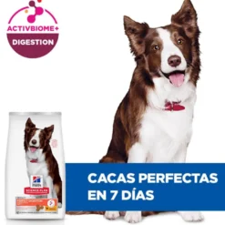 Hill's Science Plan Perfect Digestion Adult Medium Pollo pienso para perros