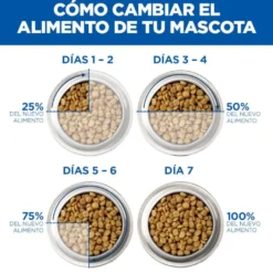 Hill's Science Plan Perfect Digestion Adult Pollo Pienso para gatos