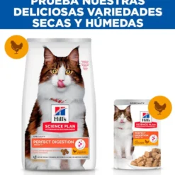 Hill's Science Plan Perfect Digestion Adult Pollo Pienso para gatos